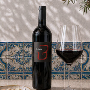 Binigrau B Negre